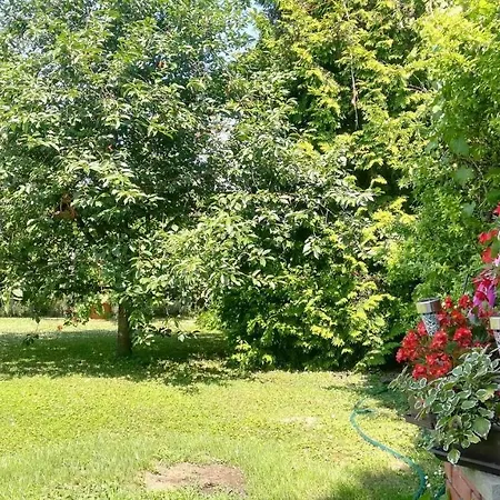 In Siofok/balaton 19830 Holiday home *
